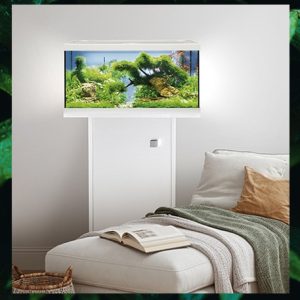 Аквариумные товары