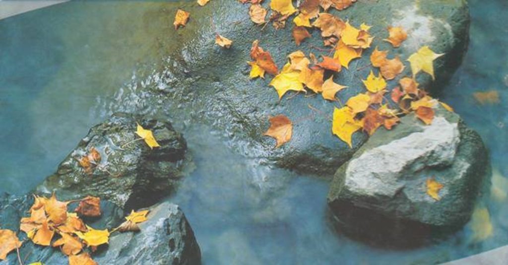 Садовый пруд осенью