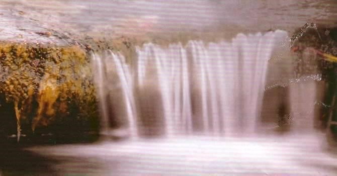 Садовый пруд весной