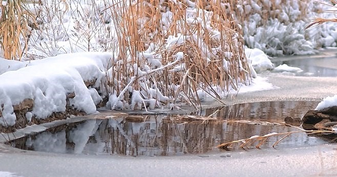 Садовый пруд зимой