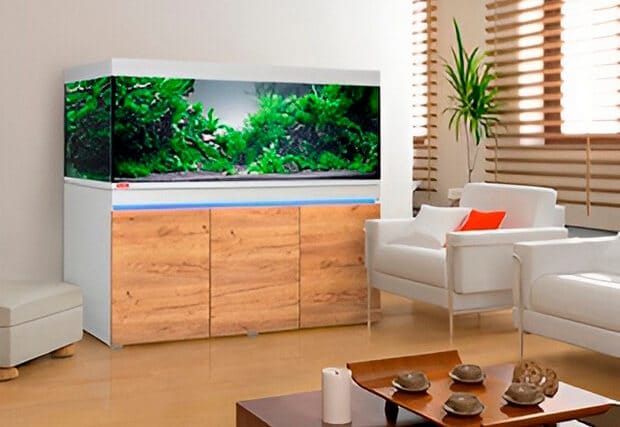 Блок Аквариумы под заказ aqua-service.by (Haupt) tiny